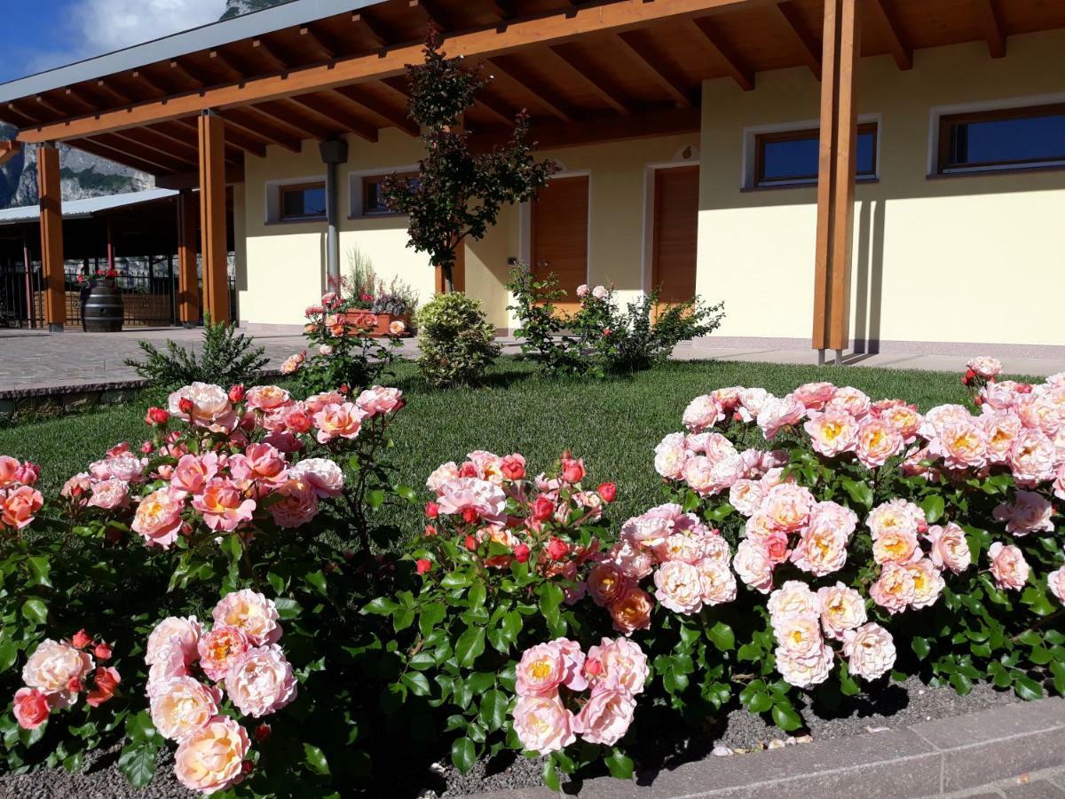 Agriturismo L' Isola Di Arturo Trento Exterior photo